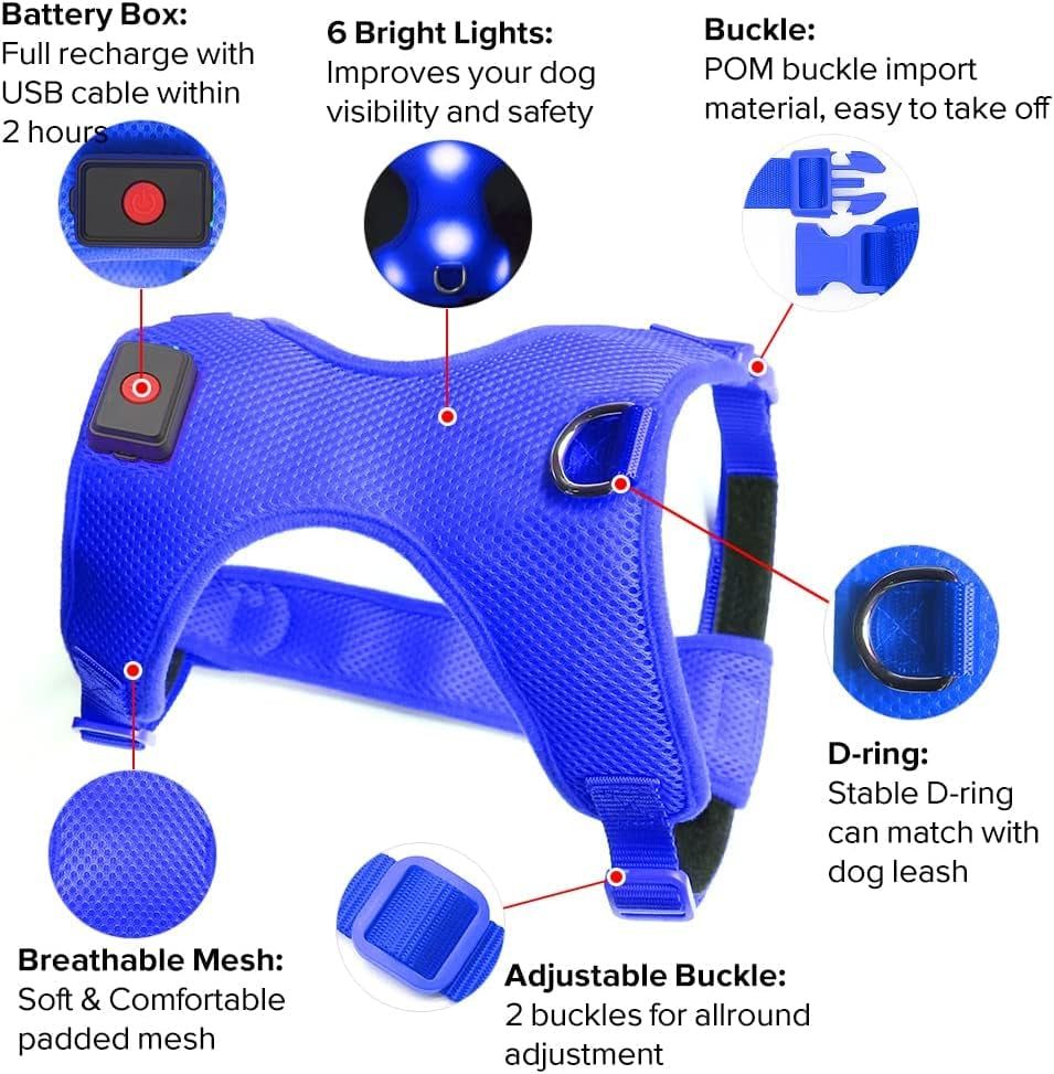 LED Dog Harness,Lighted up USB Rechargeable Pet Harness,Illuminated Reflective Glowing Dog Vest Adjustable Soft Padded No-Pull Suit for Small,Medium,Large Dogs (Blue, M)
